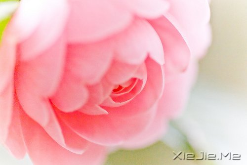 经典语录:与其埋怨世界,不如改变自己 (5)