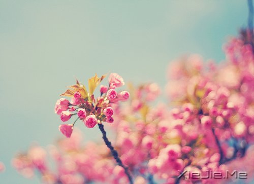 经典语录:与其埋怨世界,不如改变自己 (11)